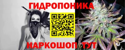 герыч Новодвинск