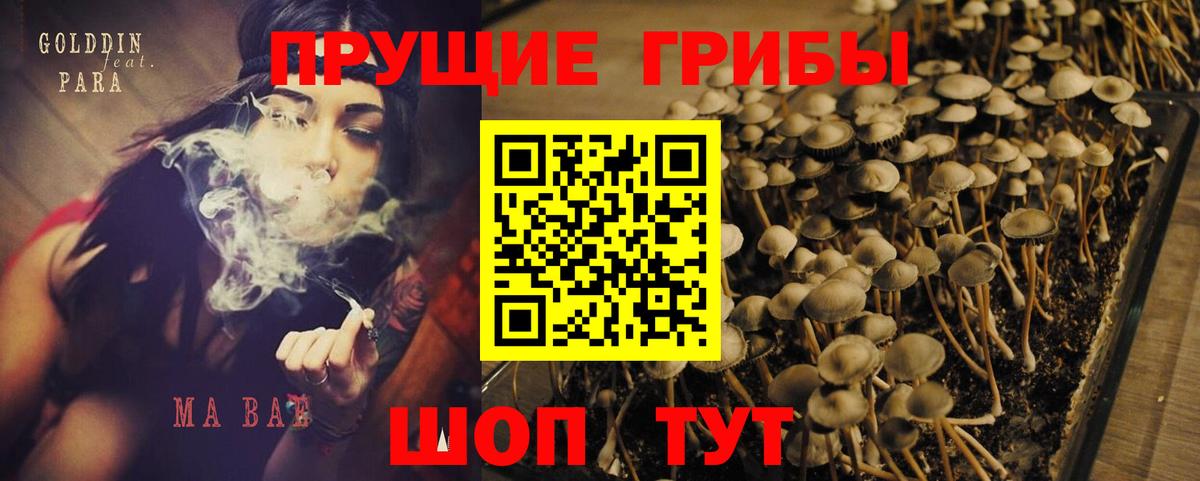 Ульяновск  Галлюциногенные грибы Magic Shrooms  что такое   Вход с VPN 